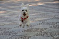 /album/klbka/images-2-jpg/